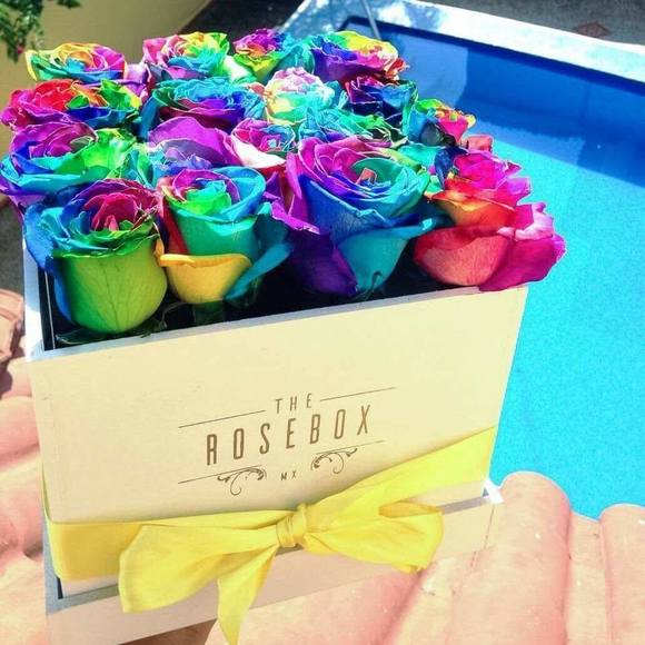 Meet your Posher, Bernice - Picture 1 of 1